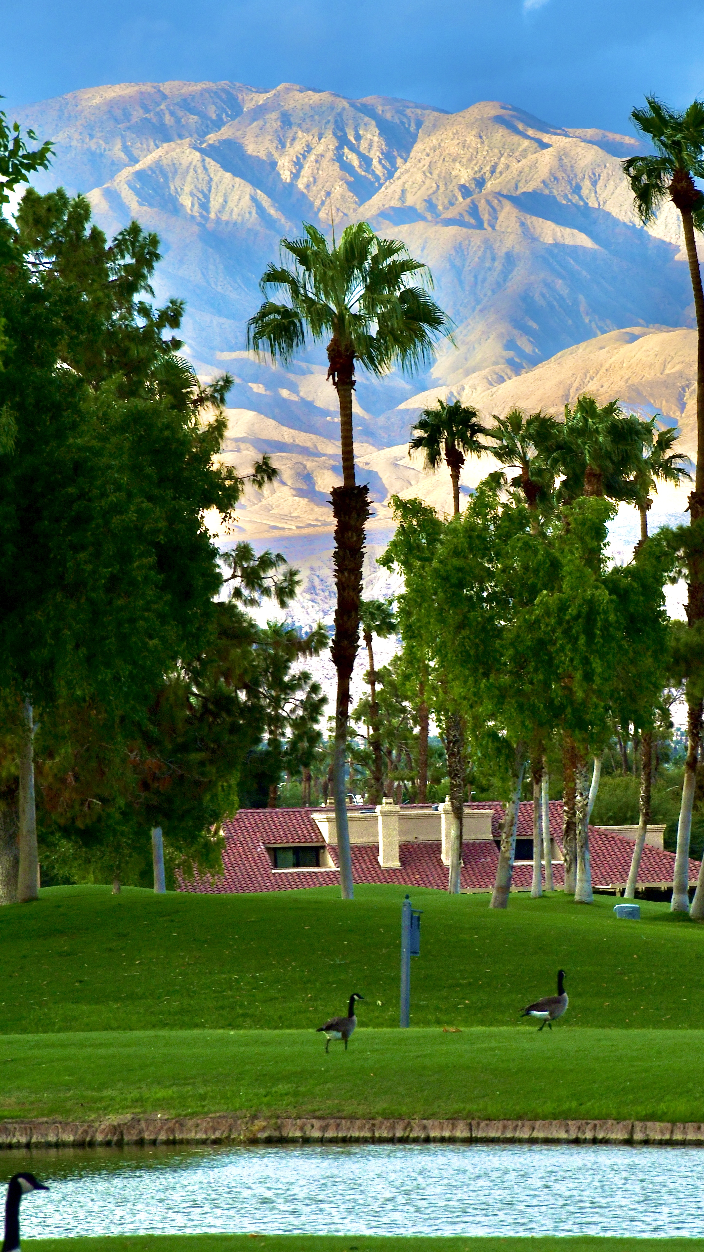 View of clubhouse from golf course